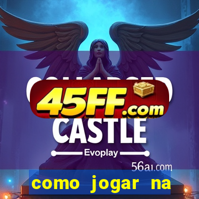 como jogar na lotinha do jogo do bicho